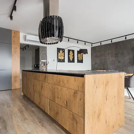 Exclusive Business Apartments Near Ice Krakow Congress Centre And Wawel Castle By Inpoint Apartamento *
